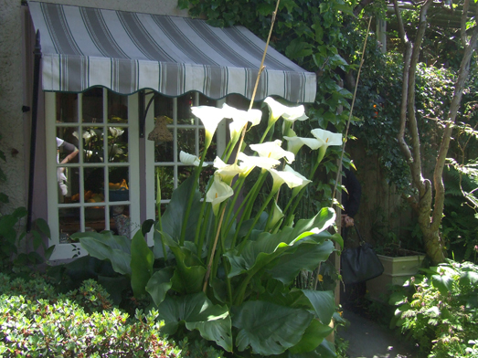 Oak Bay Garden